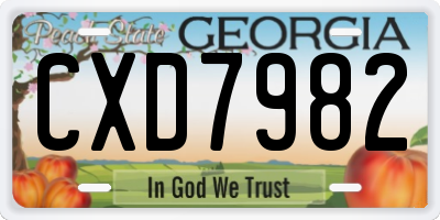 GA license plate CXD7982