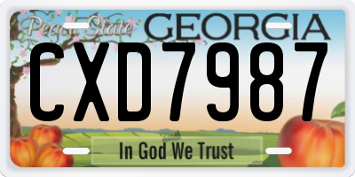 GA license plate CXD7987