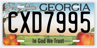 GA license plate CXD7995