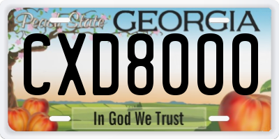 GA license plate CXD8000