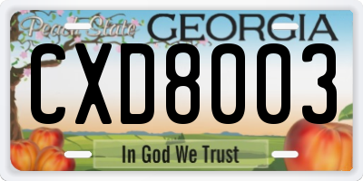 GA license plate CXD8003