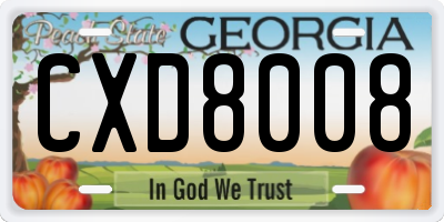 GA license plate CXD8008