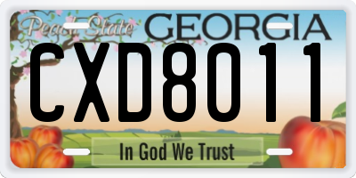 GA license plate CXD8011