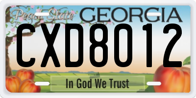 GA license plate CXD8012