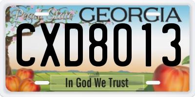GA license plate CXD8013