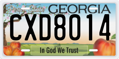 GA license plate CXD8014