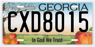 GA license plate CXD8015
