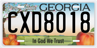 GA license plate CXD8018