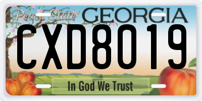 GA license plate CXD8019