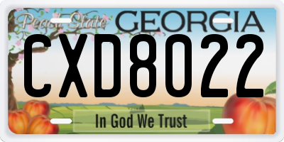 GA license plate CXD8022