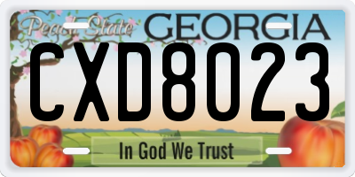 GA license plate CXD8023