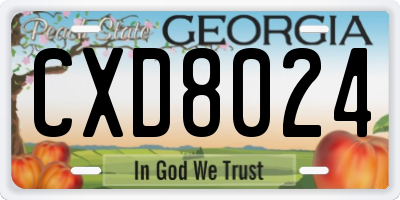 GA license plate CXD8024