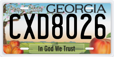 GA license plate CXD8026