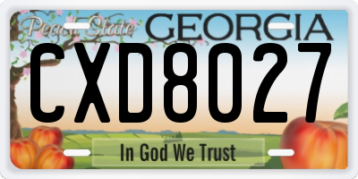 GA license plate CXD8027