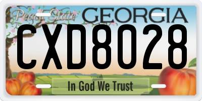 GA license plate CXD8028