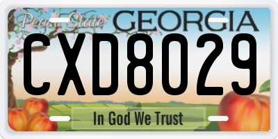 GA license plate CXD8029