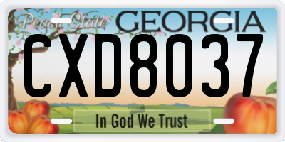 GA license plate CXD8037