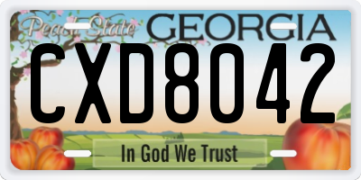 GA license plate CXD8042