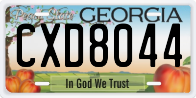GA license plate CXD8044