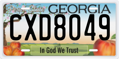GA license plate CXD8049