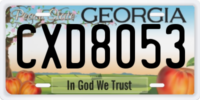 GA license plate CXD8053