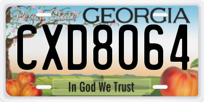 GA license plate CXD8064