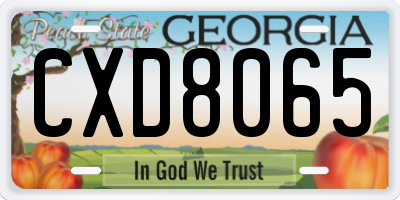 GA license plate CXD8065