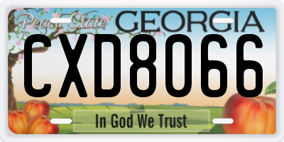 GA license plate CXD8066