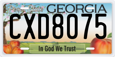 GA license plate CXD8075