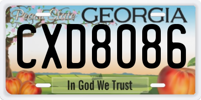 GA license plate CXD8086