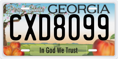 GA license plate CXD8099