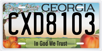 GA license plate CXD8103