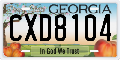 GA license plate CXD8104