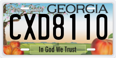 GA license plate CXD8110