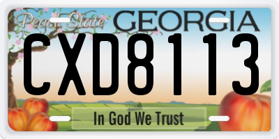 GA license plate CXD8113