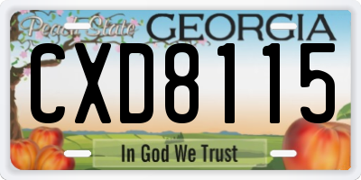 GA license plate CXD8115