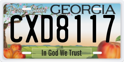 GA license plate CXD8117