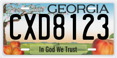 GA license plate CXD8123