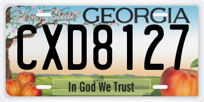 GA license plate CXD8127
