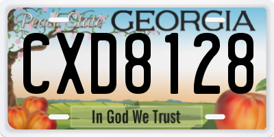 GA license plate CXD8128