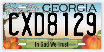 GA license plate CXD8129