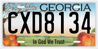 GA license plate CXD8134