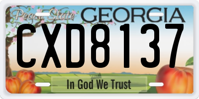GA license plate CXD8137