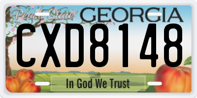 GA license plate CXD8148