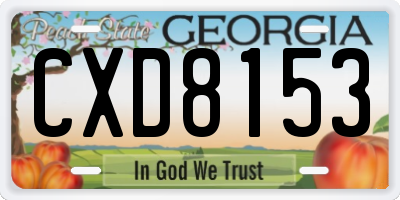 GA license plate CXD8153