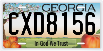 GA license plate CXD8156