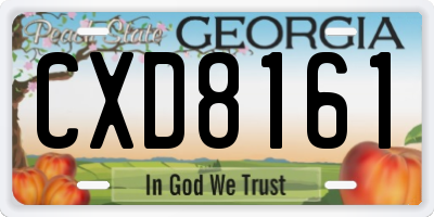 GA license plate CXD8161