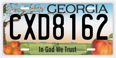 GA license plate CXD8162