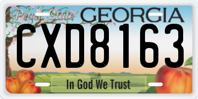 GA license plate CXD8163