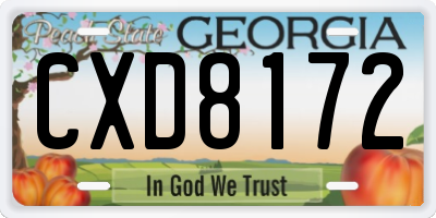 GA license plate CXD8172